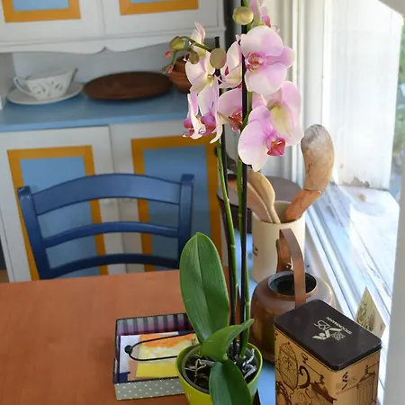 Vaestersten Chalet *