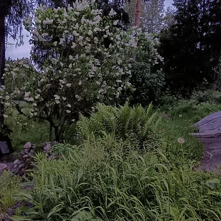 شاليه Vaestersten