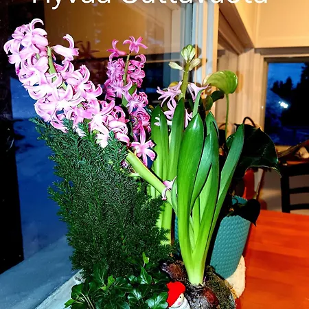 Chalé Vaestersten *