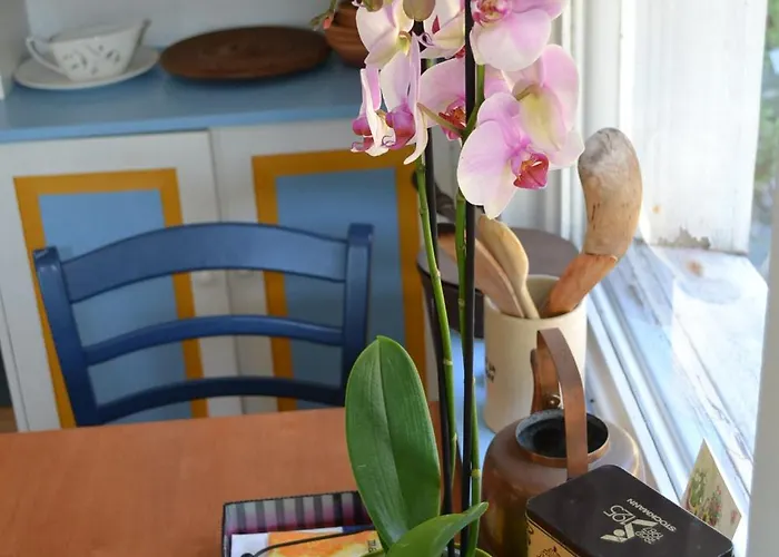 Vaestersten בקתה *