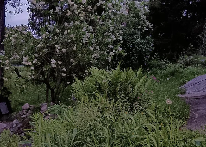 בקתה Vaestersten