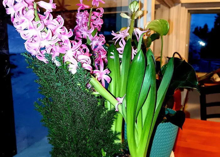 Alpstuga Västersten *